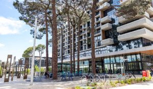 Accomodation Marketing Only